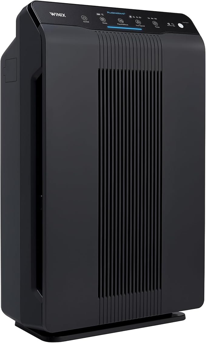 Air Purifier for Mold